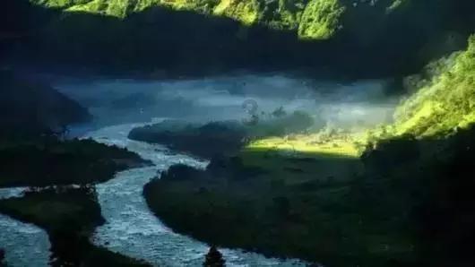 救援可爱的狮子